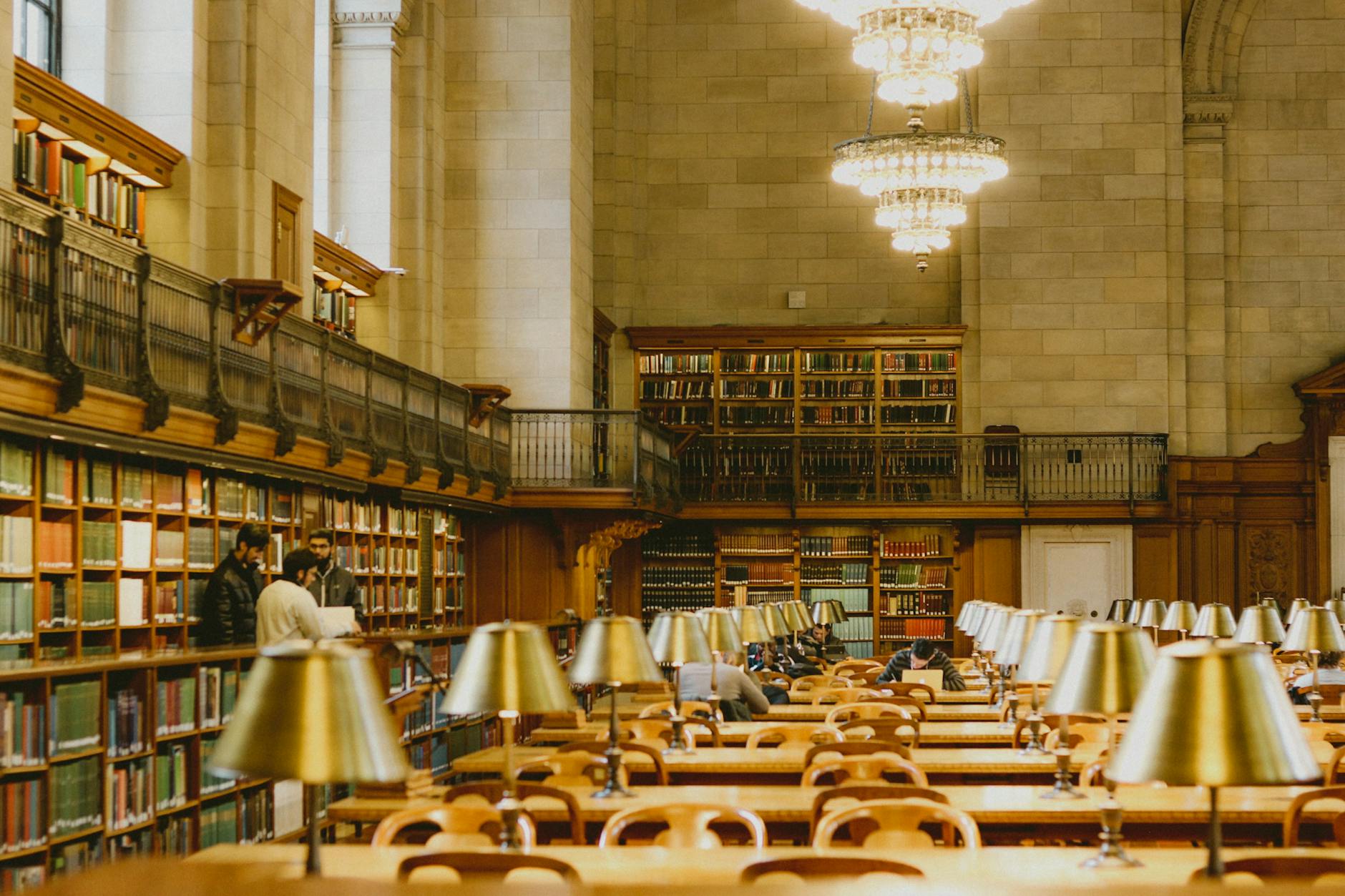 A grand university library with elegant chandeliers, where the next chapter begins